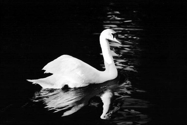 Enter the UnderWorld